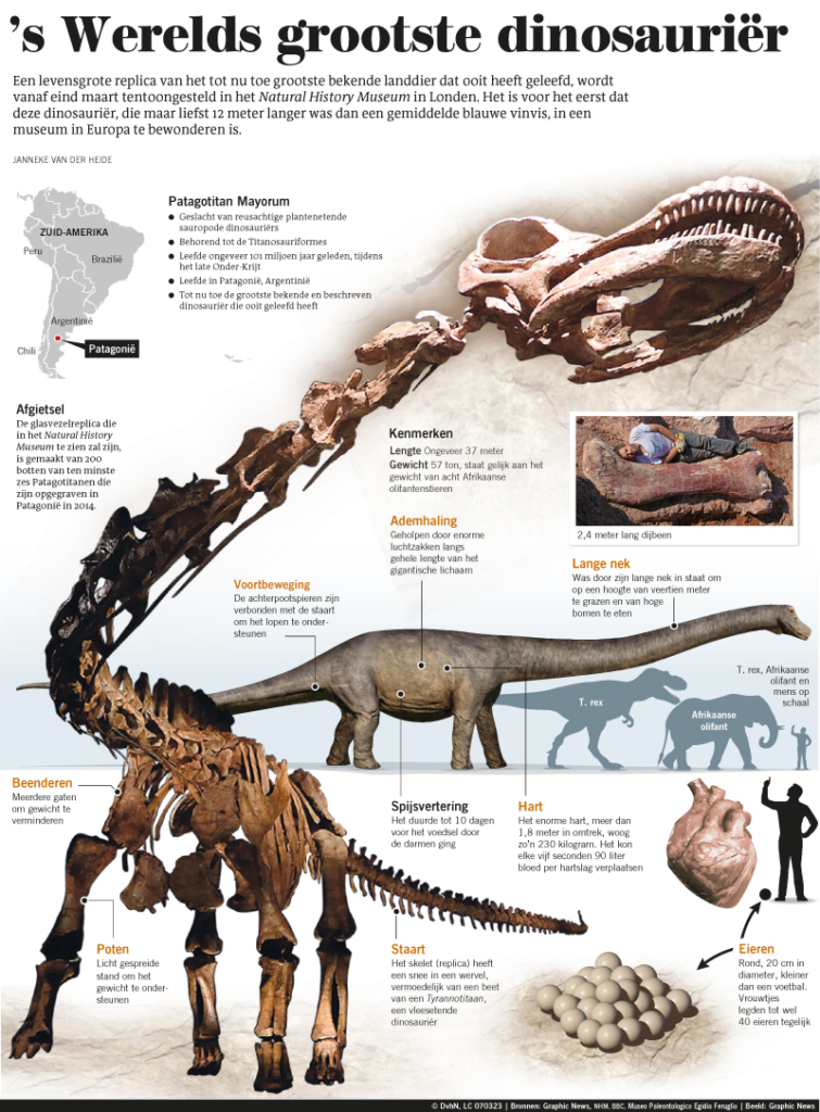 'S WERELDS GROOTSTE DINOSAURIER