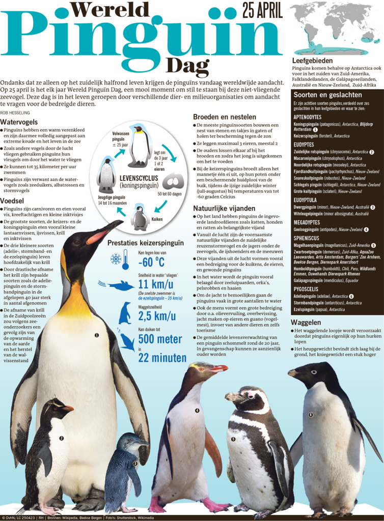 WERELD PINGUÏN DAG